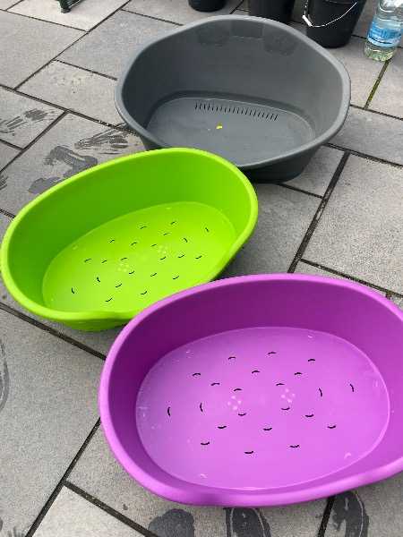 Large plastic dog beds