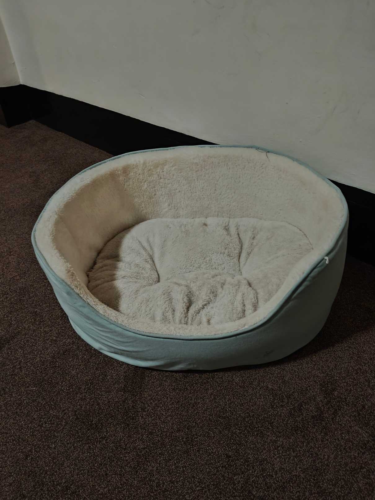 Pet bed and large cat scratcher