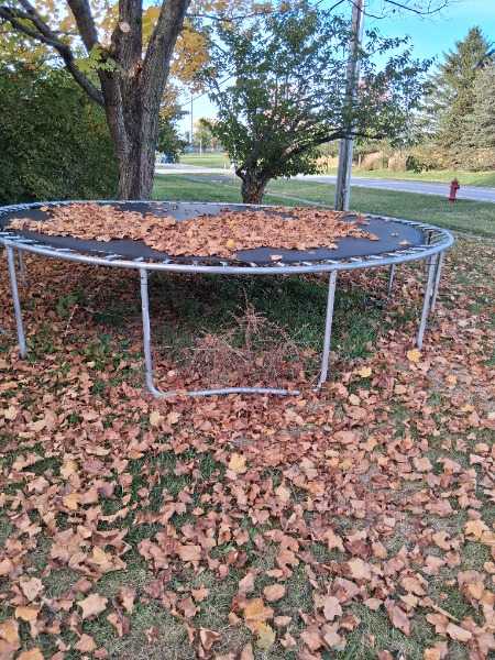 Trampoline