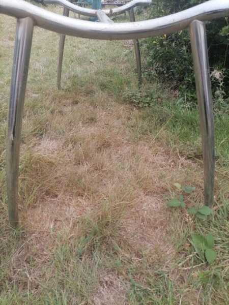 Glass Dining Table