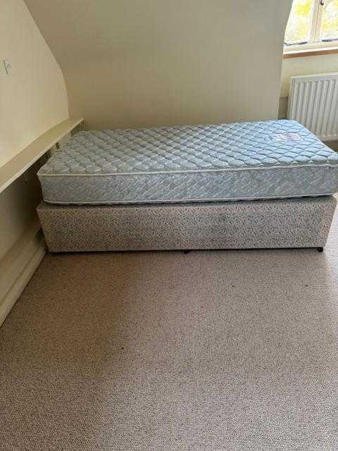 Single divan bed with Sealy mattress - collect this weekend